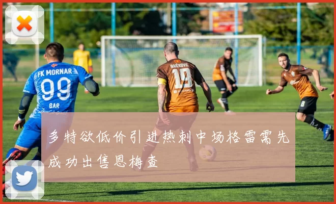 多特欲低价引进热刺中场格雷需先成功出售恩梅查